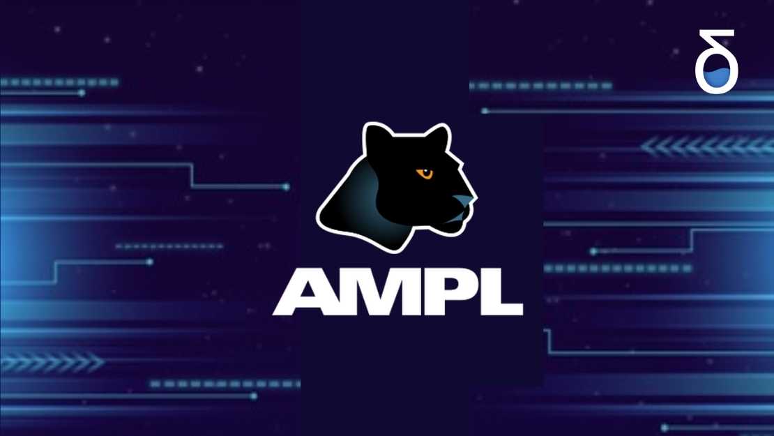 Do you know AMPL? 