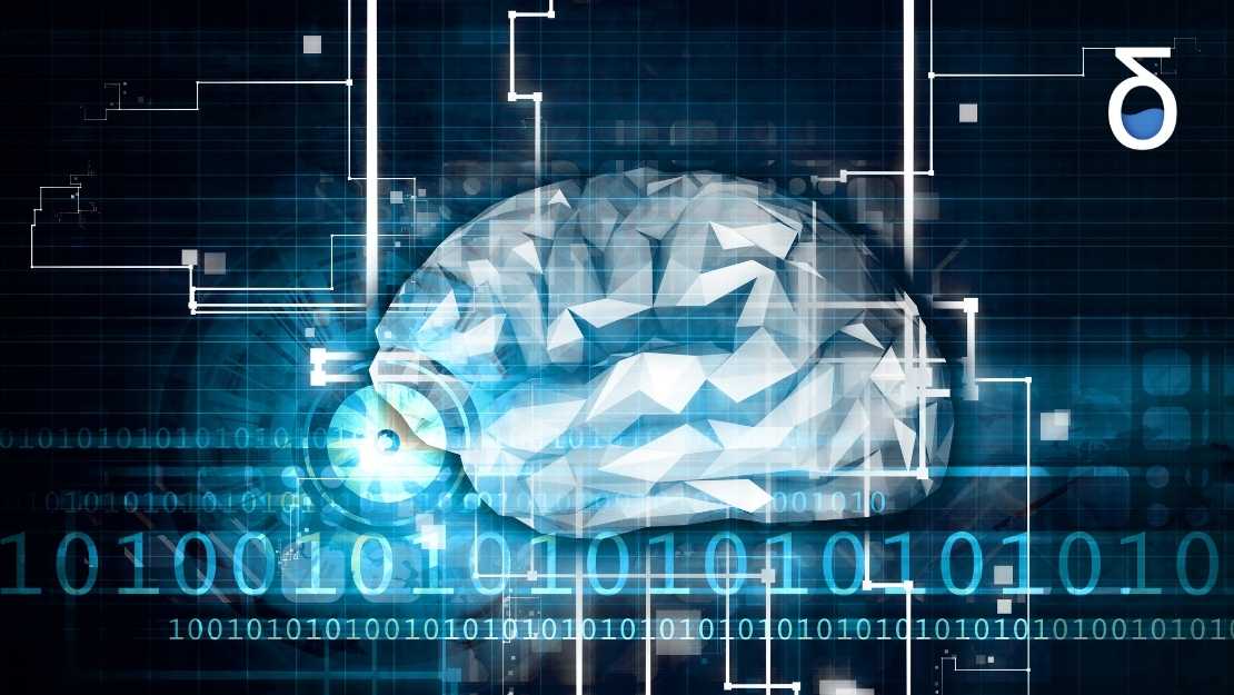 Importance of algorithms and models towards a more rational world