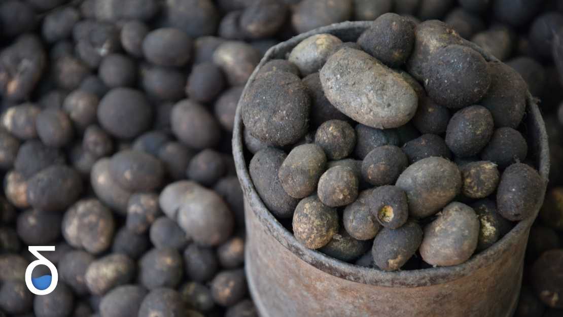 The impacts of charging sponge iron in blast furnaces