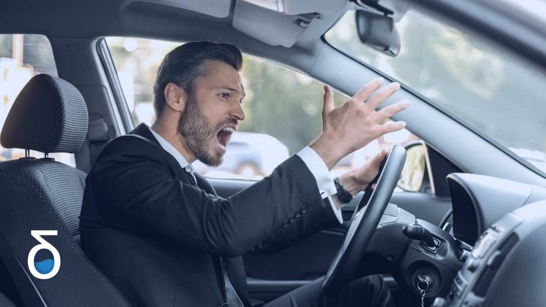 The expert and the optimizer